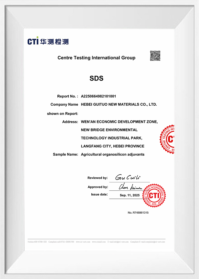 সেন্টার টেস্টিং ইন্টারন্যাশনাল গ্রুপ