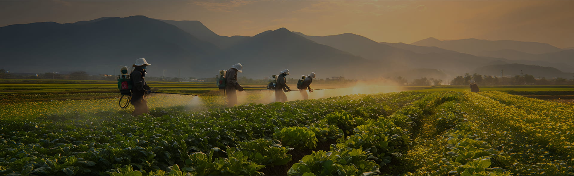 হেবেই গুইতুও নিউ মেটেরিয়াল কোং, লি.